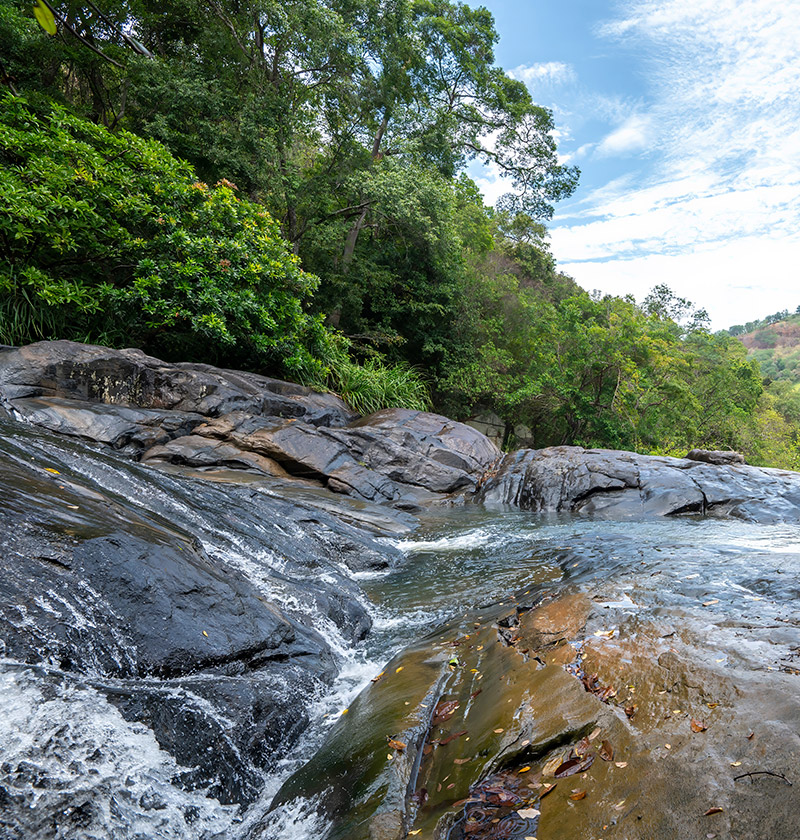 Maduwanwela Duwili Ella