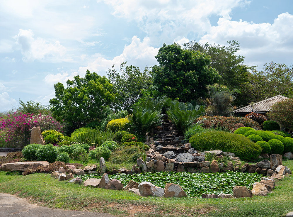 Mirijjawila Botanical Garden