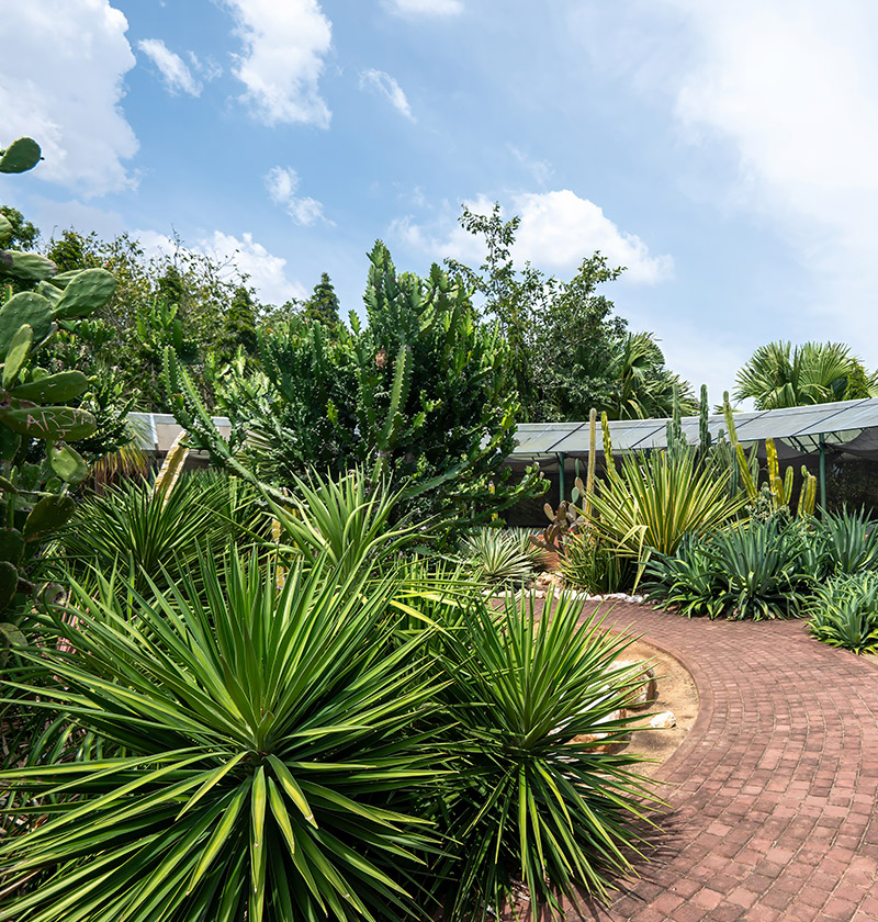 Mirijjawila Botanical Garden