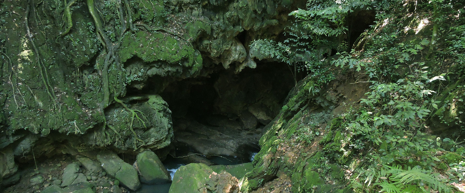 Wawulpane Cave