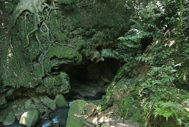 Mirijjawila Botanical Garden